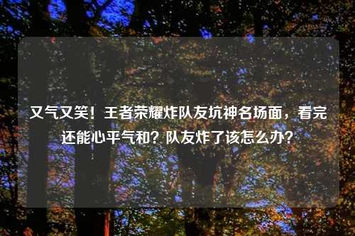 又气又笑!王者荣耀炸队友坑神名场面,看完还能心平气和?队友炸了该怎么办?