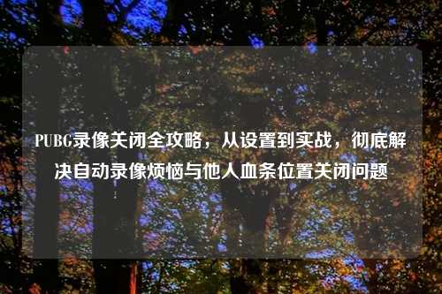 PUBG录像关闭全攻略,从设置到实战,彻底解决自动录像烦恼与他人血条位置关闭问题
