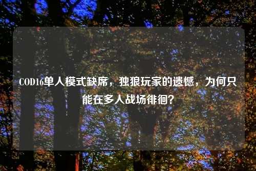 COD16单人模式缺席，独狼玩家的遗憾，为何只能在多人战场徘徊？