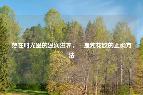 熬在时光里的温润滋养，一盅炖花胶的正确     