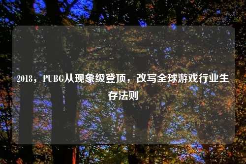 2018，PUBG从现象级登顶，改写全球游戏行业生存法则