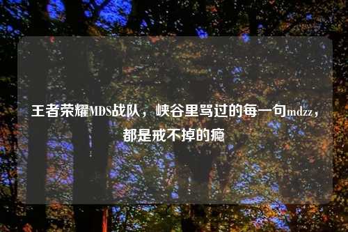 王者荣耀MDS战队，峡谷里骂过的每一句mdzz，都是戒不掉的瘾