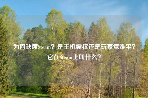 为何缺席Steam？是主机霸权还是玩家意难平？它在Steam上叫什么？
