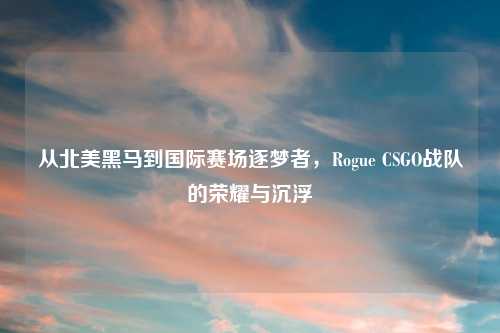 从北美黑马到国际赛场逐梦者,Rogue CSGO战队的荣耀与沉浮