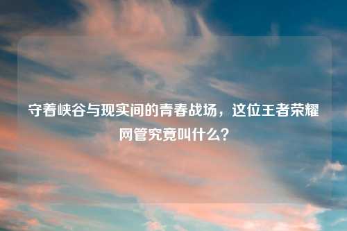 守着峡谷与现实间的青春战场，这位王者荣耀网管究竟叫什么？