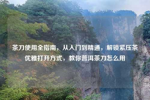 茶刀使用全指南，从入门到精通，解锁紧压茶优雅打开方式，教你普洱茶刀怎么用