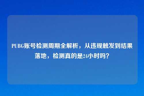 PUBG账号检测周期全解析,从违规触发到结果落地,检测真的是24小时吗?