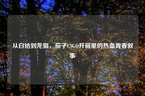 从白给到龙狙，茄子CSGO开箱里的热血青春叙事