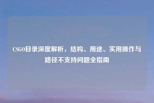 CSGO目录深度解析，结构、用途、实用操作与路径不支持问题全指南