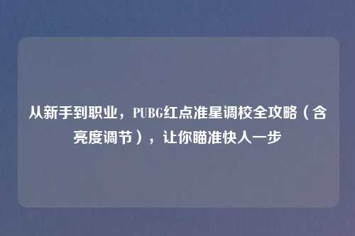 从新手到职业,PUBG红点准星调校全攻略(含亮度调节),让你瞄准快人一步