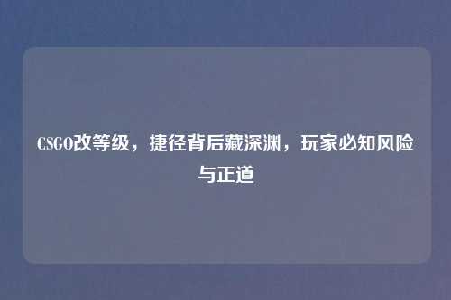 CSGO改等级,捷径背后藏深渊,玩家必知风险与正道