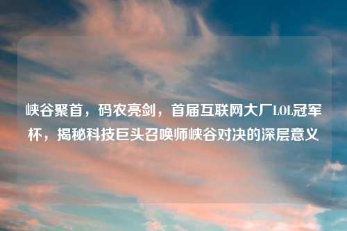 峡谷聚首，码农亮剑，首届互联网大厂LOL冠军杯，揭秘科技巨头召唤师峡谷对决的深层意义