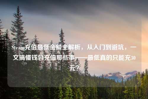 Steam充值更低金额全解析,从入门到避坑,一文搞懂钱包充值那些事——更低真的只能充30元?