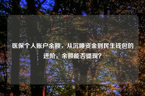 医保个人账户余额，从沉睡资金到民生钱包的进阶，余额能否提现？