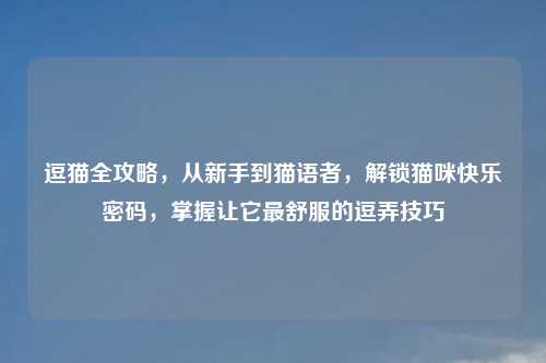 逗猫全攻略,从新手到猫语者,解锁猫咪快乐密码,掌握让它最舒服的逗弄技巧