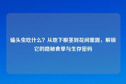 磕头虫吃什么?从地下根茎到花间蜜露,解锁它的隐秘食单与生存密码