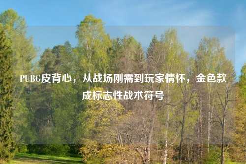 PUBG皮背心,从战场刚需到玩家情怀,金色款成标志性战术符号