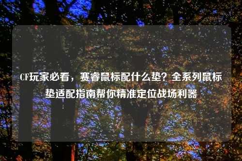 CF玩家必看,赛睿鼠标配什么垫?全系列鼠标垫适配指南帮你精准定位战场利器
