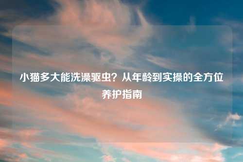 小猫多大能洗澡驱虫?从年龄到实操的全方位养护指南