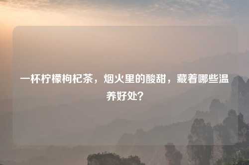 一杯柠檬枸杞茶,烟火里的酸甜,藏着哪些温养好处?