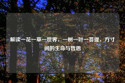 解读一花一草一世界,一树一叶一菩提,方寸间的生命与哲思