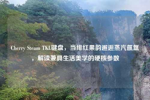 Cherry Steam TKL键盘,当绯红果韵邂逅蒸汽氤氲,解读兼具生活美学的硬核参数