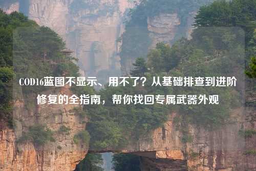 COD16蓝图不显示、用不了?从基础排查到进阶修复的全指南,帮你找回专属武器外观