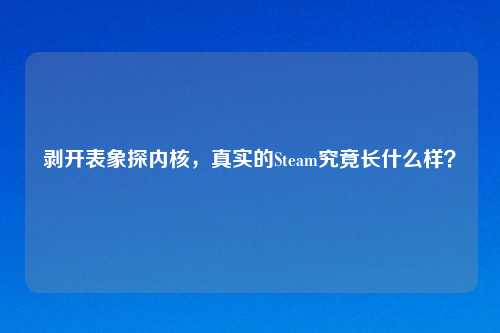 剥开表象探内核，真实的Steam究竟长什么样？