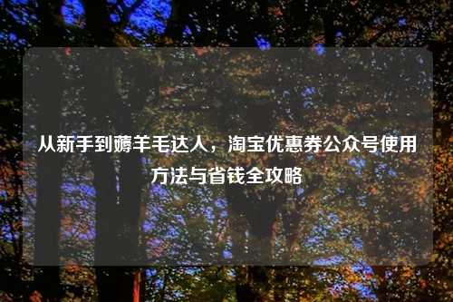 从新手到薅羊毛达人，     优惠券公众号使用     与省钱全攻略