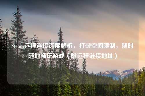 Steam远程连接深度解析,打破空间限制,随时随地畅玩游戏(附远程链接地址)