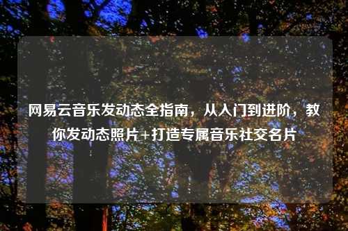 网易云音乐发动态全指南,从入门到进阶,教你发动态照片+打造专属音乐社交名片