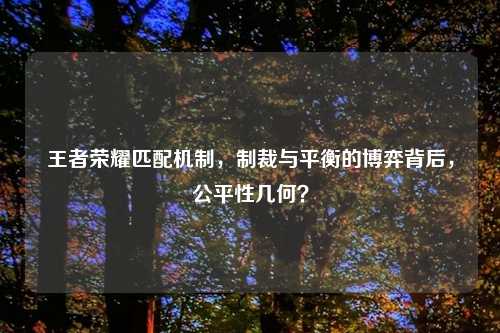 王者荣耀匹配机制，制裁与平衡的博弈背后，公平性几何？