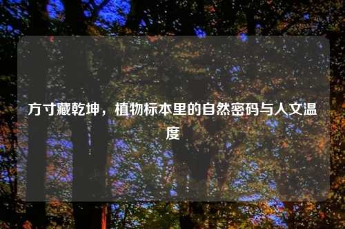 方寸藏乾坤，植物标本里的自然密码与人文温度