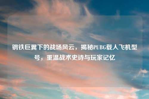 钢铁巨翼下的战场风云，揭秘PUBG载人飞机型号，重温战术史诗与玩家记忆