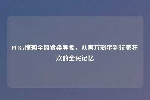 PUBG惊现全窗紫染异象,从官方彩蛋到玩家狂欢的全民记忆
