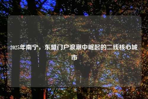 2025年南宁，东盟门户浪潮中崛起的二线核心城市