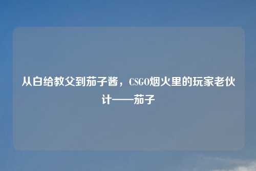 从白给教父到茄子酱,CSGO烟火里的玩家老伙计——茄子