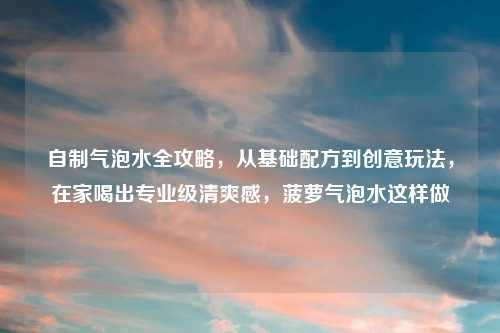 自制气泡水全攻略,从基础配方到创意玩法,在家喝出专业级清爽感,菠萝气泡水这样做