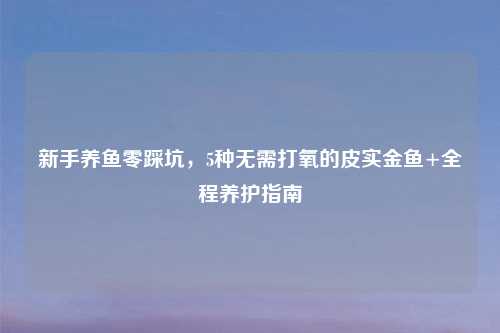 新手养鱼零踩坑,5种无需打氧的皮实金鱼+全程养护指南