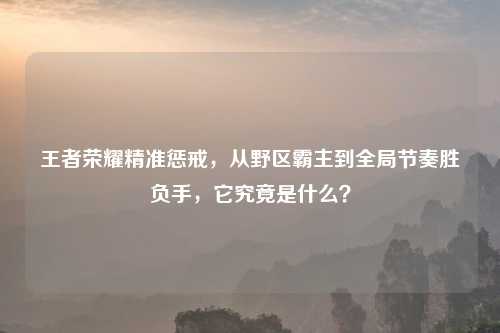 王者荣耀精准惩戒,从野区霸主到全局节奏胜负手,它究竟是什么?