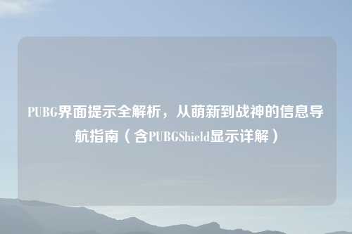 PUBG界面提示全解析,从萌新到战神的信息导航指南(含PUBGShield显示详解)