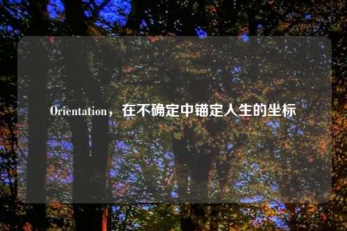 Orientation，在不确定中锚定人生的坐标