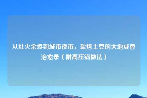 从灶火余烬到城市夜市,盐烤土豆的大地咸香治愈录(附高压锅做法)