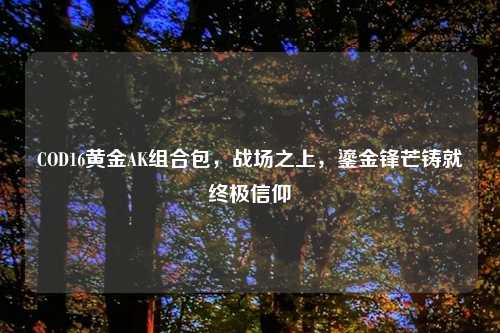 COD16黄金AK组合包,战场之上,鎏金锋芒铸就终极信仰