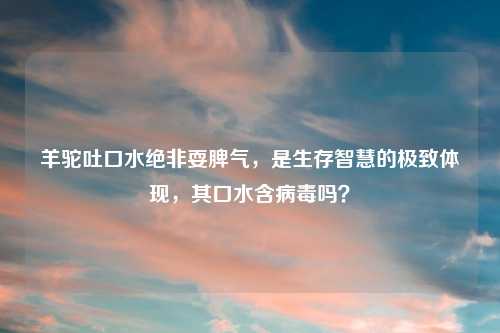 羊驼吐口水绝非耍脾气,是生存智慧的极致体现,其口水含病毒吗?