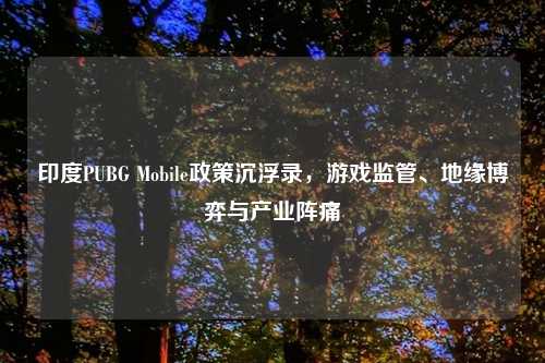 印度PUBG Mobile政策沉浮录，游戏监管、地缘博弈与产业阵痛