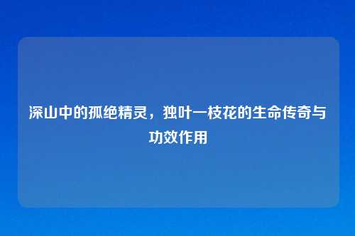 深山中的孤绝精灵，独叶一枝花的生命传奇与功效作用