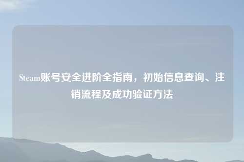 Steam账号安全进阶全指南，初始信息查询、注销流程及成功验证     