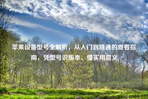 苹果设备型号全解析,从入门到精通的查看指南,凭型号识版本、懂实用意义