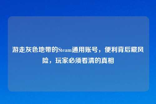 游走灰色地带的Steam通用账号，便利背后藏风险，玩家必须看清的真相